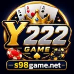 Y222 Game